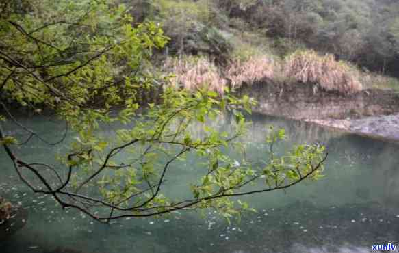 黄山翡翠旅游度假村，探秘黄山翡翠：享受宁静与自然的度假体验