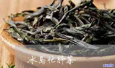 12年冰岛茶功效与-冰岛茶叶功效