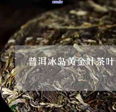 黄金叶冰岛茶价格表-黄金叶冰岛茶价格表及图片