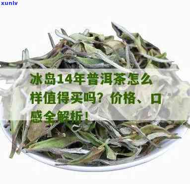 14年的冰岛茶贵吗？值得购买吗？价格多少？