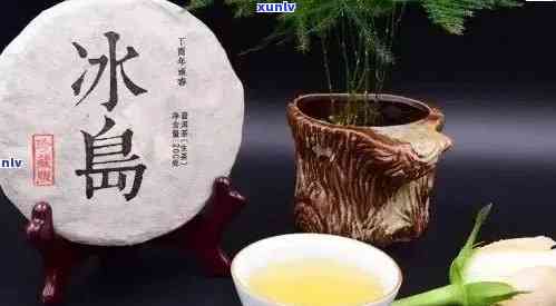 冰岛饼茶和昔归饼茶哪个更好？区别、价格全解析