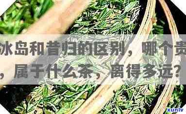 昔归茶与冰岛茶：价格对比，谁更贵？