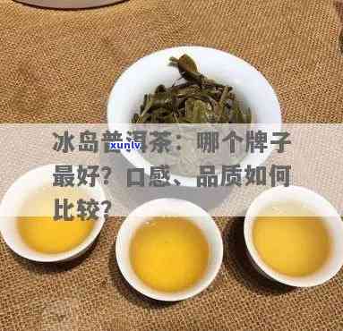 岛茶和冰岛哪个好一点，口感对决：岛茶与冰岛茶，你更偏好哪一款？