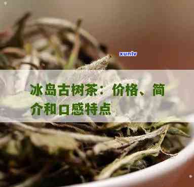 冰岛古树茶的特点及冲泡 *** ，探索冰岛古树茶的独特魅力：特点与冲泡技巧-