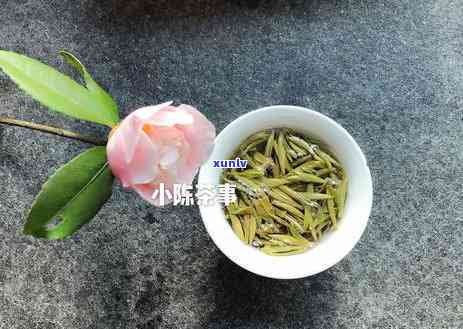 天买什么茶叶送人好？绿茶、乌龙茶、白茶都是不错的选择，口感清新，适合炎热饮用。