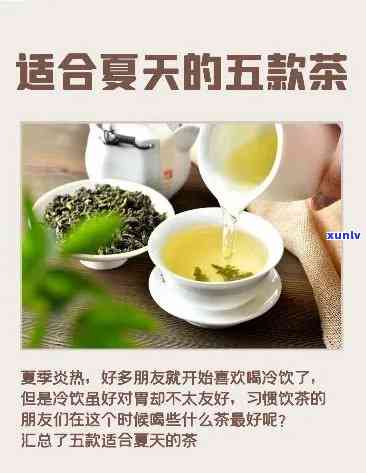 天送什么茶叶好，日清凉必备！推荐几款适合天饮用的茶叶