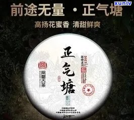 正气潭冰岛茶价格表-正气塘和冰岛的区别