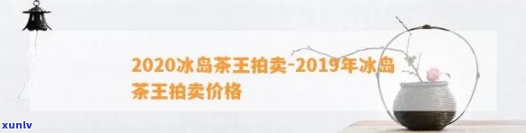 2019年冰岛茶王价格，揭晓2019年冰岛茶王的神秘面纱：价格解析