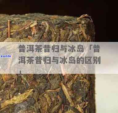 昔归茶和冰岛茶区别，昔归茶与冰岛茶：一场味蕾的较量