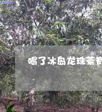 冰岛龙珠茶能减肥吗-冰岛龙珠茶能减肥吗怎么喝