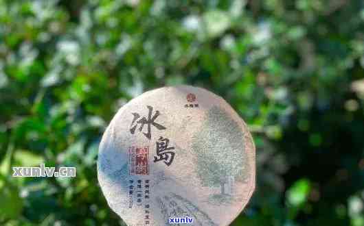 冰岛母树茶价格，揭秘冰岛母树茶价格：为何如此昂贵？