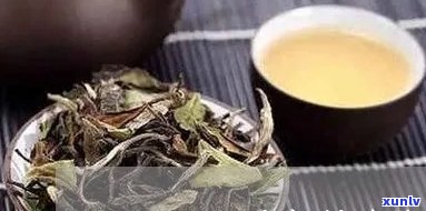 今年冰岛茶批次-今年的冰岛茶价格