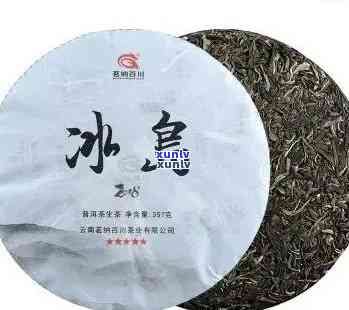 冰岛生茶好还是熟茶好？口感差异及评价全解析