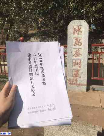 北冰岛茶哪个好喝又便宜？旅行攻略与价格全在这！