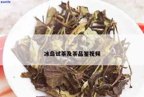 冰岛分几种茶，探究冰岛茶的多样性：了解不同种类的冰岛茶