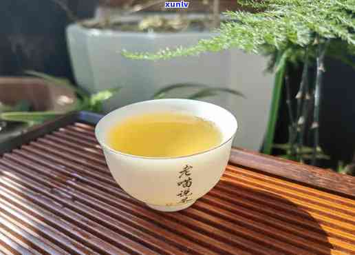 泡冰岛茶用什么茶具，泡出美味冰岛茶，你需要哪些茶具？