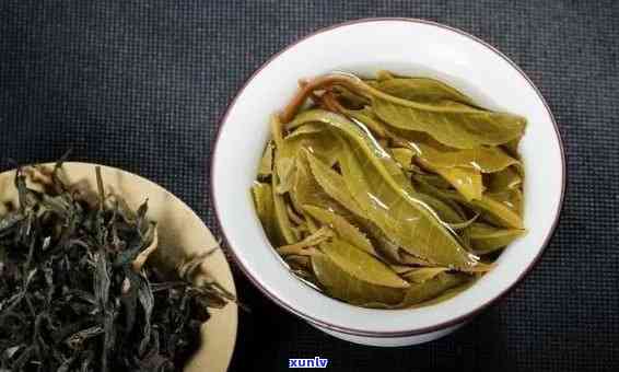 冰岛茶有哪些特点，探索冰岛茶的独特魅力：揭秘其特点与风情