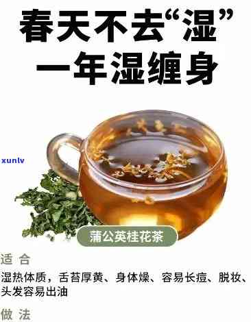 什么茶叶去湿气效果又减肥？专家推荐的健饮品！