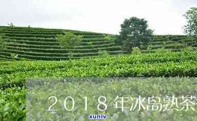 2018年冰岛熟茶-2018年冰岛熟茶价格