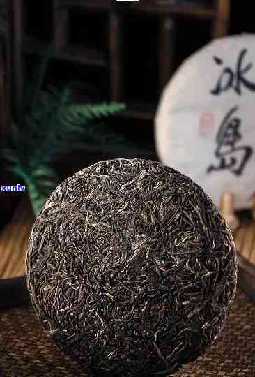 冰岛900年古树茶的价格与价值探究