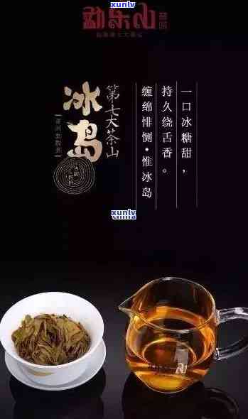 冰岛茶哪个好，探究冰岛茶的品质之选：哪个更出色？