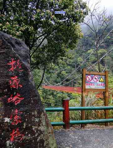 湖北什么茶叶有名气最多，湖北十大名茶排行榜，黄冈、恩各有千秋！