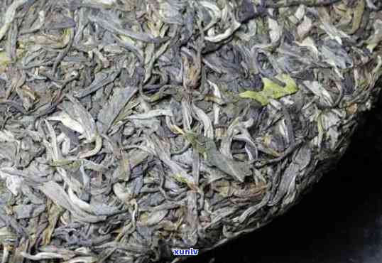 冰岛大树茶青饼价格：普洱茶生茶357克，口感独特，附价格表与图片