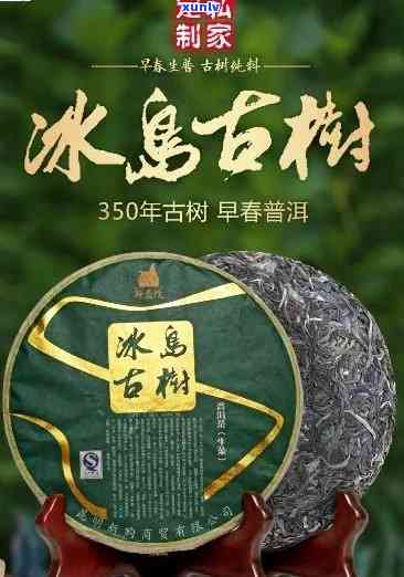 2006年冰岛古树茶茶饼价格，深度解析：2006年冰岛古树茶茶饼的市场价格与价值