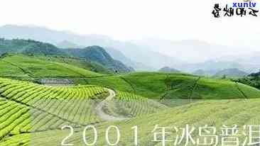 云南冰岛圆茶饼价格-云南冰岛圆茶2001年多少钱