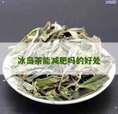 喝多少冰岛茶才减肥-喝多少冰岛茶才减肥呢