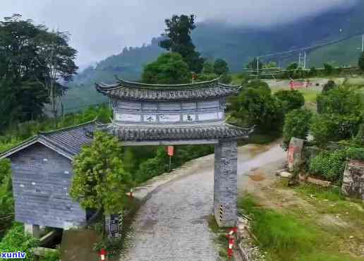 航拍云南冰岛茶老寨-云南冰岛老寨古树茶