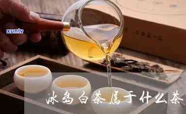 冰岛大白属于什么茶-冰岛大白属于什么茶种