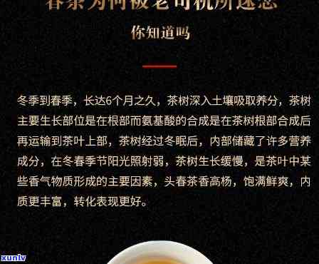 澜沧古茶冰岛生茶，【限时抢购】澜沧古茶 冰岛 生茶 500g 纯料古树普洱生茶 天然陈香 口感醇厚 易泡耐泡 原产地直供