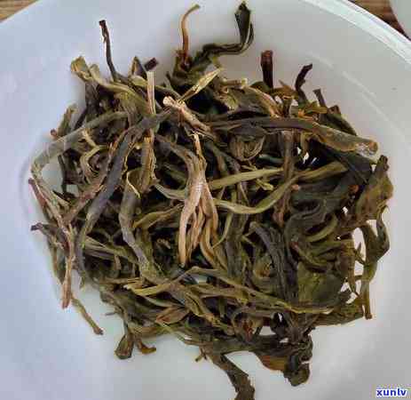 冰岛大树茶普洱茶，探索北风味：冰岛大树茶普洱茶的独特魅力