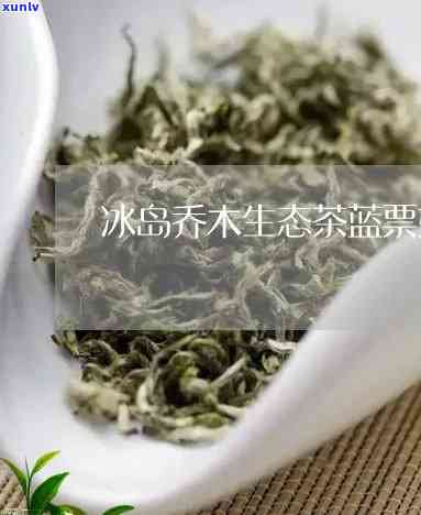 冰岛有机生态木茶-冰岛木生茶的特点