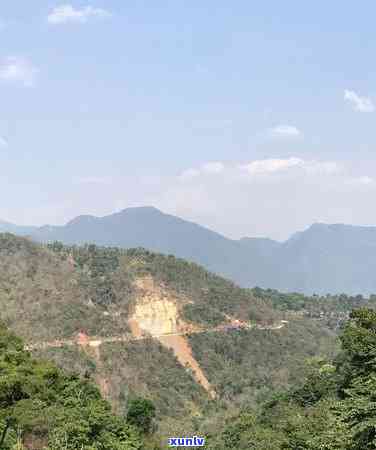 广东冰岛茶批发厂家-广东冰岛茶批发厂家 *** 