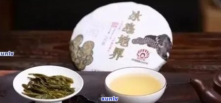 冰岛老寨是哪种茶？茶区、茶种、档次与口感特点全解析！