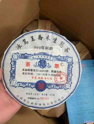 2016冰岛王茶票-2019年冰岛茶王价格