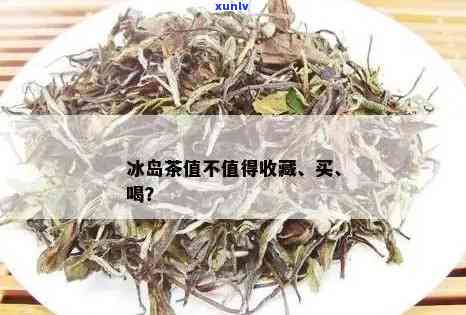 冰岛茶怎么这样便宜-冰岛茶怎么这样便宜呢