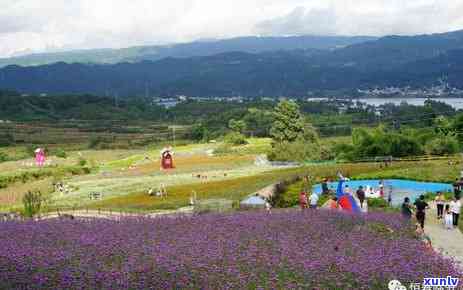 临沧市双江县冰岛村，探访云南临沧冰岛村：揭开神秘面纱的布朗族风情