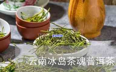 滇秀牌冰岛纯料：品味云南特色茶叶的魅力