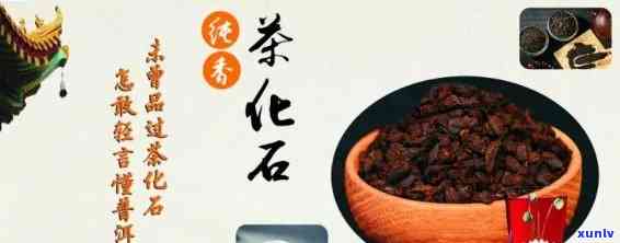 冰岛茶化石哪家便宜-冰岛茶化石怎么样