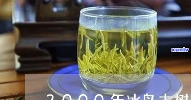 2000年冰岛茶柱-06年冰岛茶