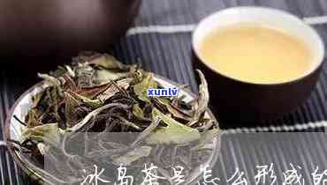 冰岛茶怎么 *** 原料-冰岛茶怎么 *** 原料的