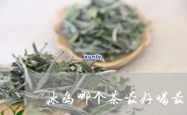 冰岛茶哪个-冰岛茶哪个喝