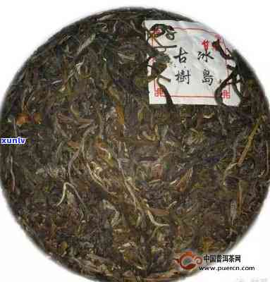 2019年冰岛茶春茶的价格，2019年冰岛春茶价格一览