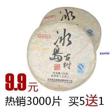 冰岛2013春古茶-2013年冰岛古树茶