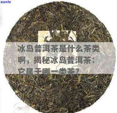 冰岛茶属于什么茶，探秘冰岛茶：它究竟属于哪一类茶？