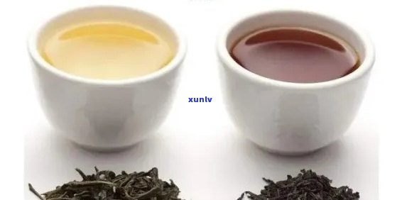 冰岛茶，红茶or绿茶？哪个更好喝？