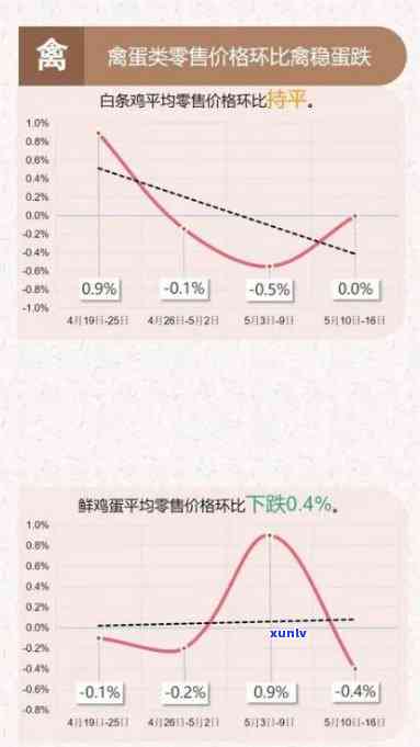 冰岛茶的价格走势：2023年最新行情与真实成本分析